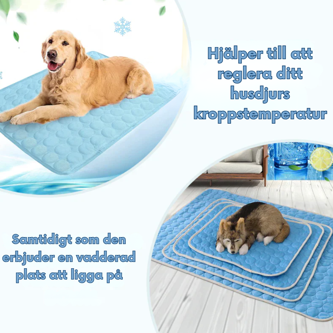 Cooling Dog Mat Self Cooling Pet Bed Pad for Summer Travel