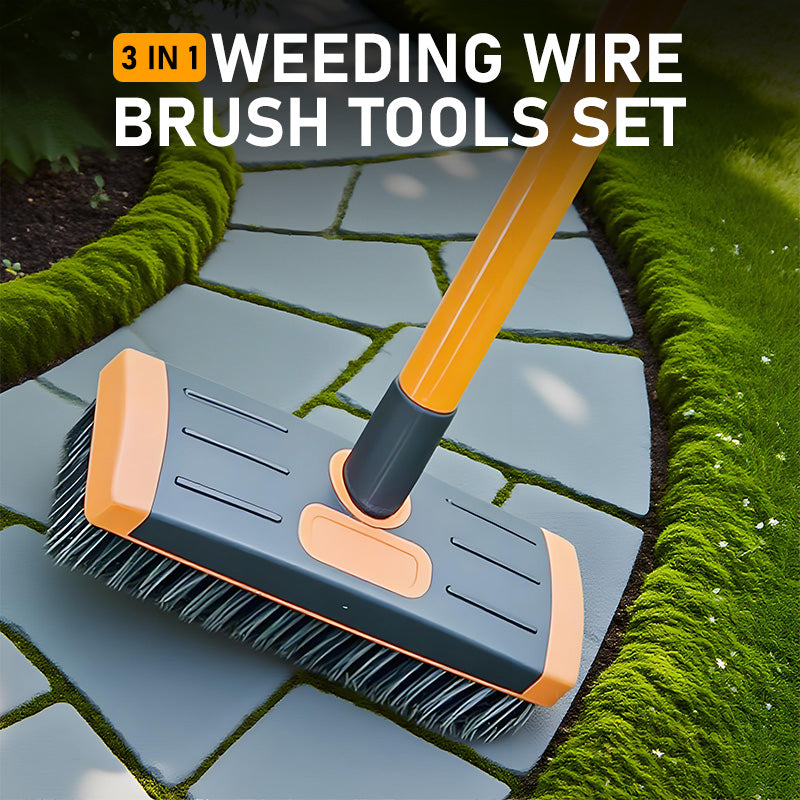 Weed Remover Tool Wire Brush for Patio Pavers with Long Handle